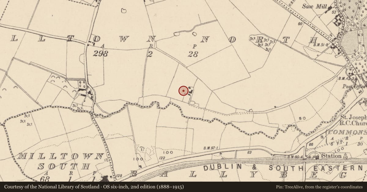 Ordnance Survey six-inch map, 2nd edition (1888–1915) covering the location of Excavation - miscellaneous, Milltown North, County Wicklow, with a pin at the register's coordinates