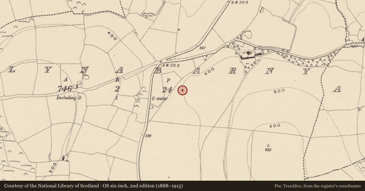 Ordnance Survey six-inch map, 2nd edition (1888–1915) covering the location of Excavation - miscellaneous, Ballynabarny, County Wicklow, with a pin at the register's coordinates
