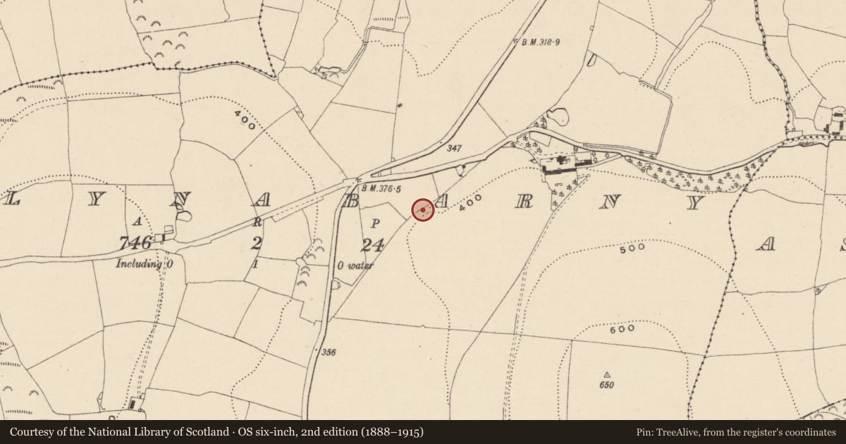 Ordnance Survey six-inch map, 2nd edition (1888–1915) covering the location of Habitation site, Ballynabarny, County Wicklow, with a pin at the register's coordinates