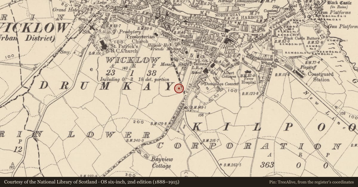 Ordnance Survey six-inch map, 2nd edition (1888–1915) covering the location of Burial ground, Ballynerrin Lower, County Wicklow, with a pin at the register's coordinates