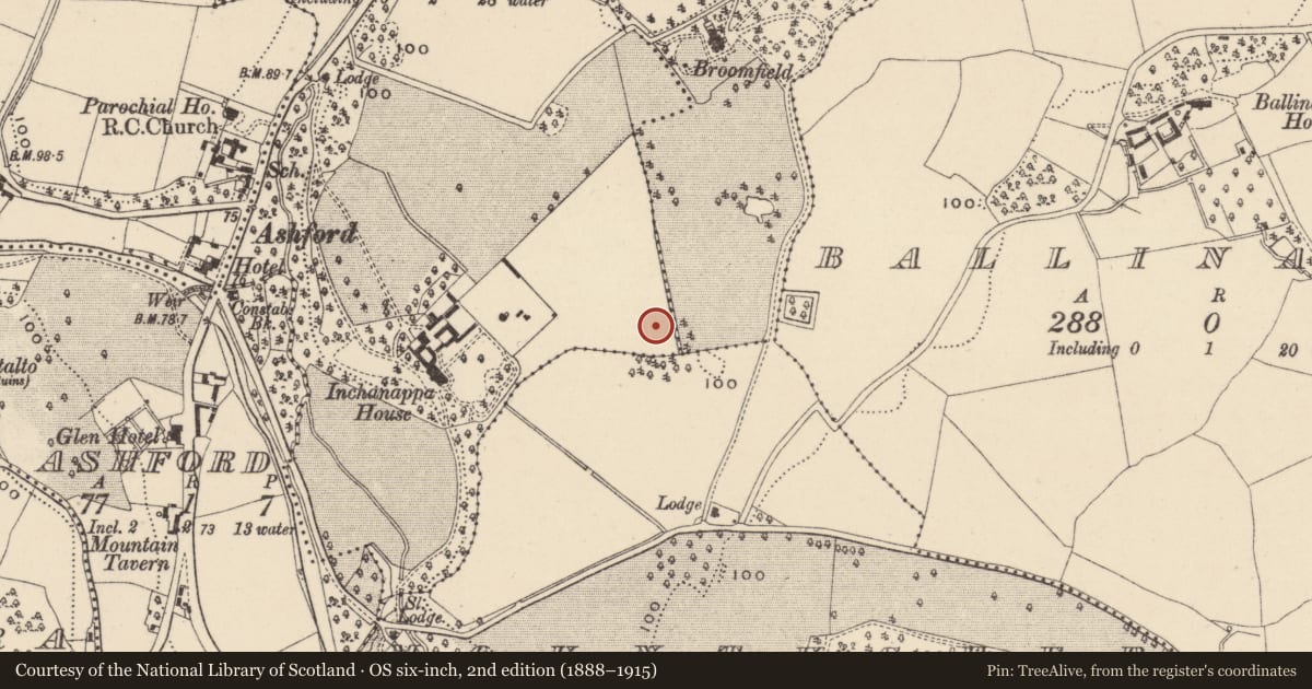 Ordnance Survey six-inch map, 2nd edition (1888–1915) covering the location of Enclosure, Inchanappa South, County Wicklow, with a pin at the register's coordinates