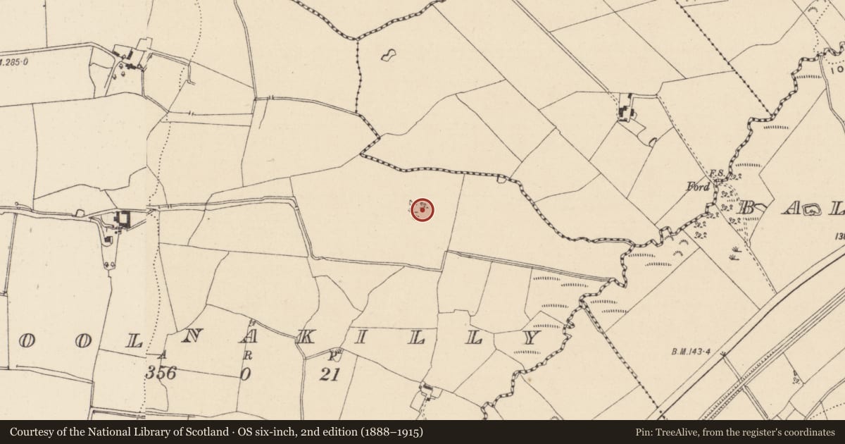 Ordnance Survey six-inch map, 2nd edition (1888–1915) covering the location of Enclosure, Coolnakilly, County Wicklow, with a pin at the register's coordinates