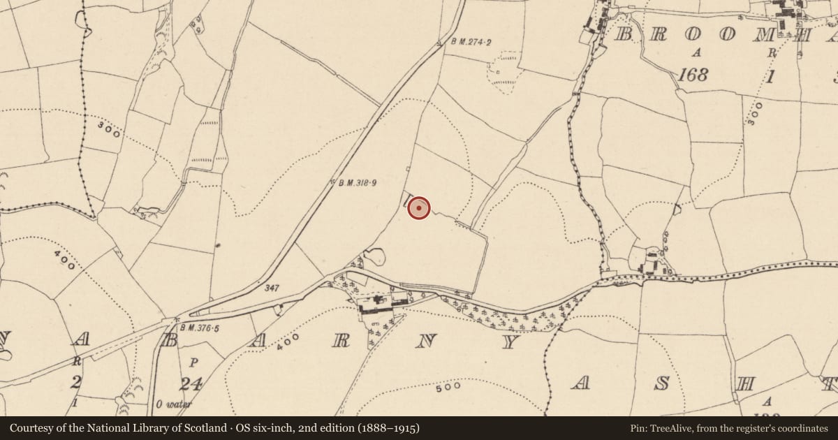 Ordnance Survey six-inch map, 2nd edition (1888–1915) covering the location of Kiln - pottery, Ballynabarny, County Wicklow, with a pin at the register's coordinates