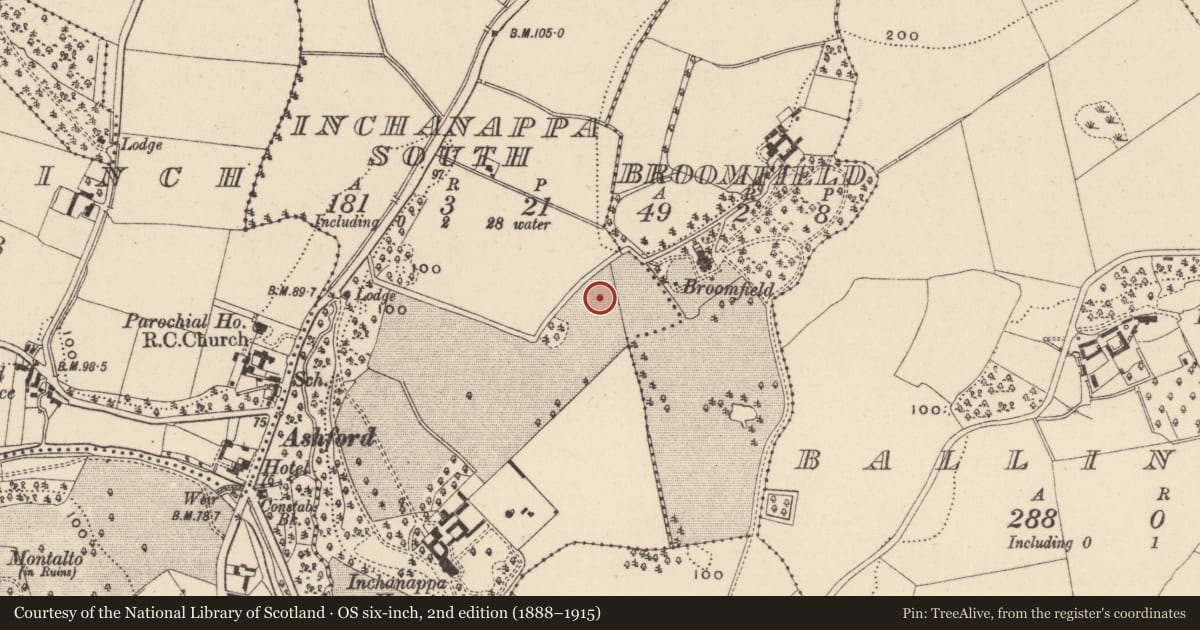 Ordnance Survey six-inch map, 2nd edition (1888–1915) covering the location of Kiln - corn-drying, Inchanappa South, County Wicklow, with a pin at the register's coordinates