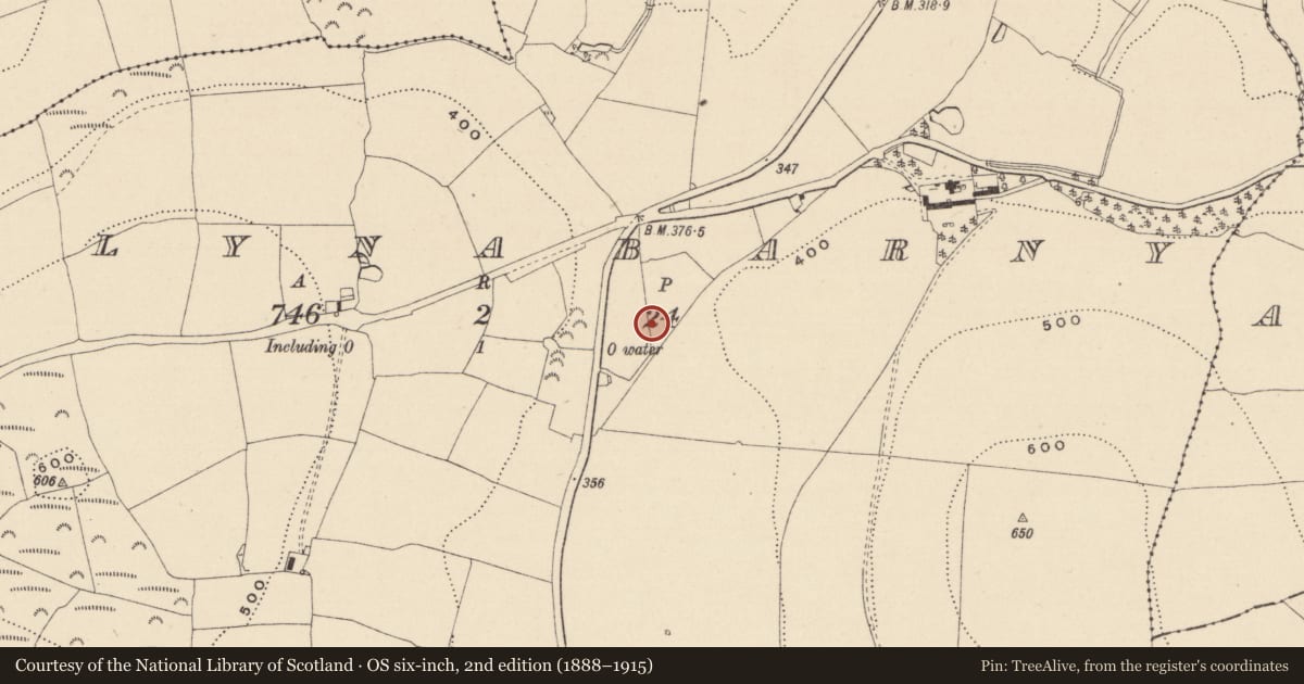 Ordnance Survey six-inch map, 2nd edition (1888–1915) covering the location of Excavation - miscellaneous, Ballynabarny, County Wicklow, with a pin at the register's coordinates