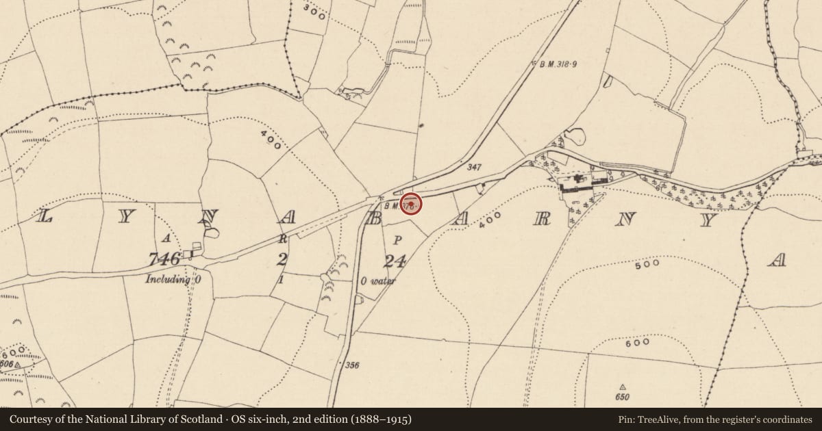 Ordnance Survey six-inch map, 2nd edition (1888–1915) covering the location of Excavation - miscellaneous, Ballynabarny, County Wicklow, with a pin at the register's coordinates