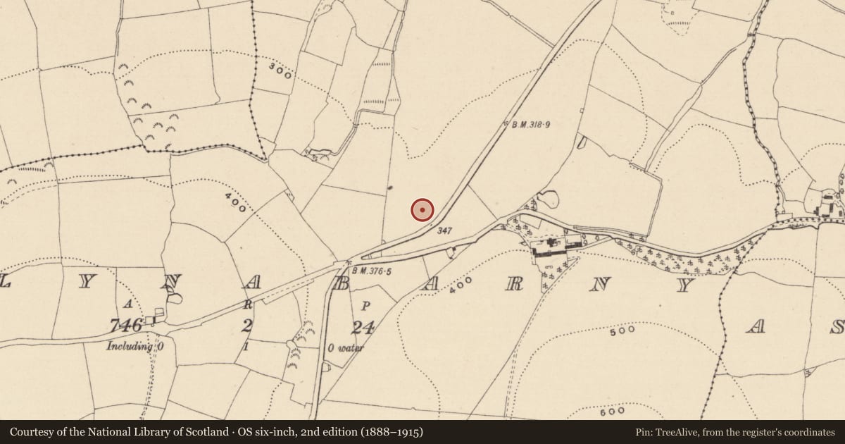 Ordnance Survey six-inch map, 2nd edition (1888–1915) covering the location of Excavation - miscellaneous, Ballynabarny, County Wicklow, with a pin at the register's coordinates