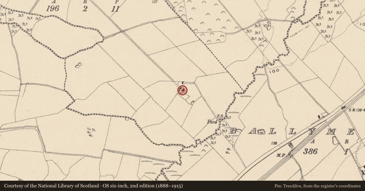 Ordnance Survey six-inch map, 2nd edition (1888–1915) covering the location of Bullaun stone (present location), Ballyknockan Beg, County Wicklow, with a pin at the register's coordinates