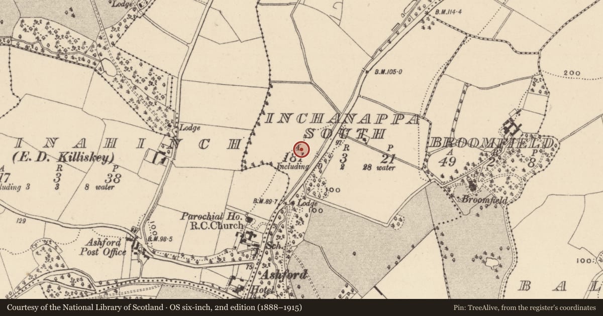 Ordnance Survey six-inch map, 2nd edition (1888–1915) covering the location of Fulacht fia, Inchanappa South, County Wicklow, with a pin at the register's coordinates