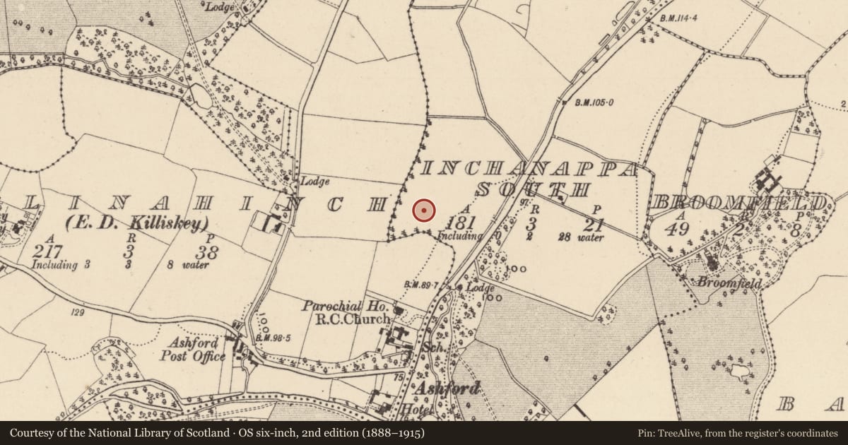 Ordnance Survey six-inch map, 2nd edition (1888–1915) covering the location of Fulacht fia, Inchanappa South, County Wicklow, with a pin at the register's coordinates