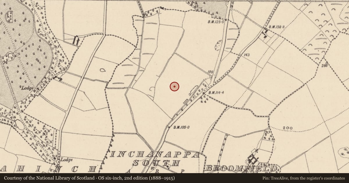 Ordnance Survey six-inch map, 2nd edition (1888–1915) covering the location of Ringfort - rath, Inchanappa South, County Wicklow, with a pin at the register's coordinates