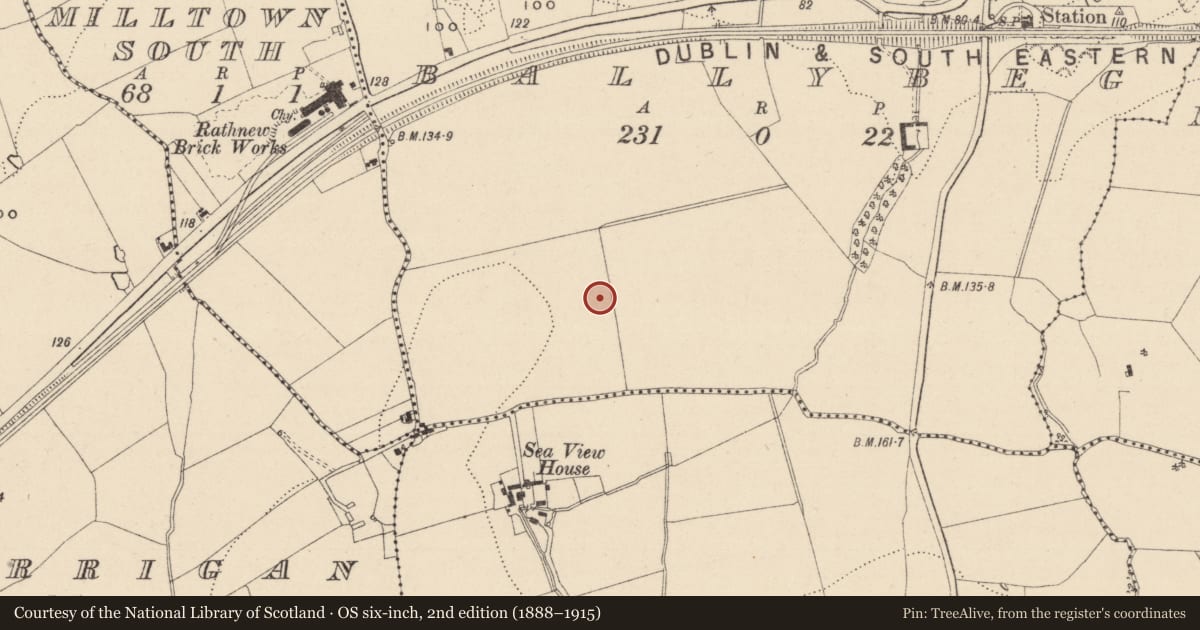 Ordnance Survey six-inch map, 2nd edition (1888–1915) covering the location of Habitation site, Ballybeg, County Wicklow, with a pin at the register's coordinates