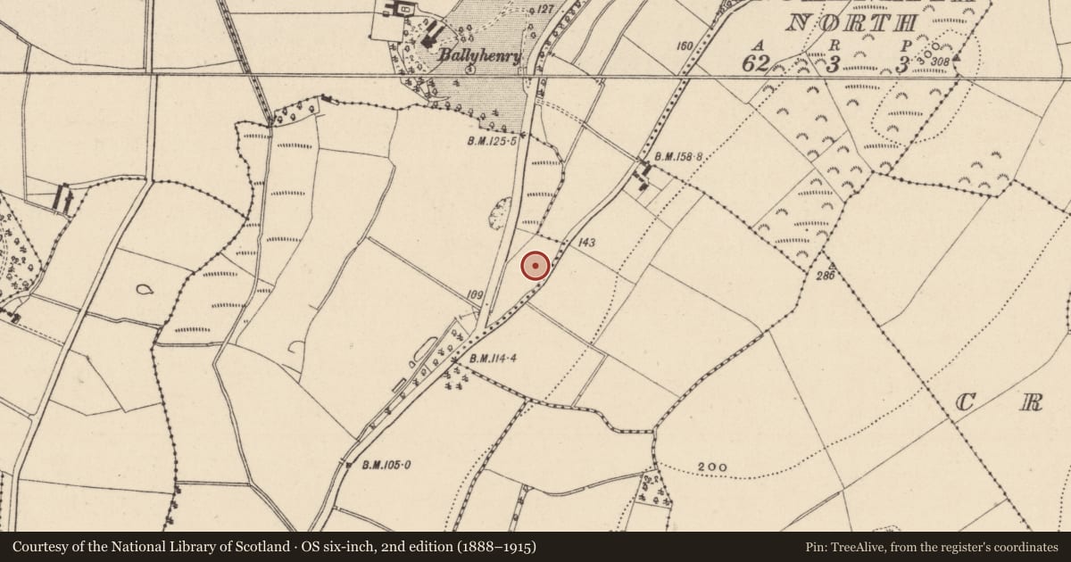 Ordnance Survey six-inch map, 2nd edition (1888–1915) covering the location of Excavation - miscellaneous, Inchanappa South, County Wicklow, with a pin at the register's coordinates