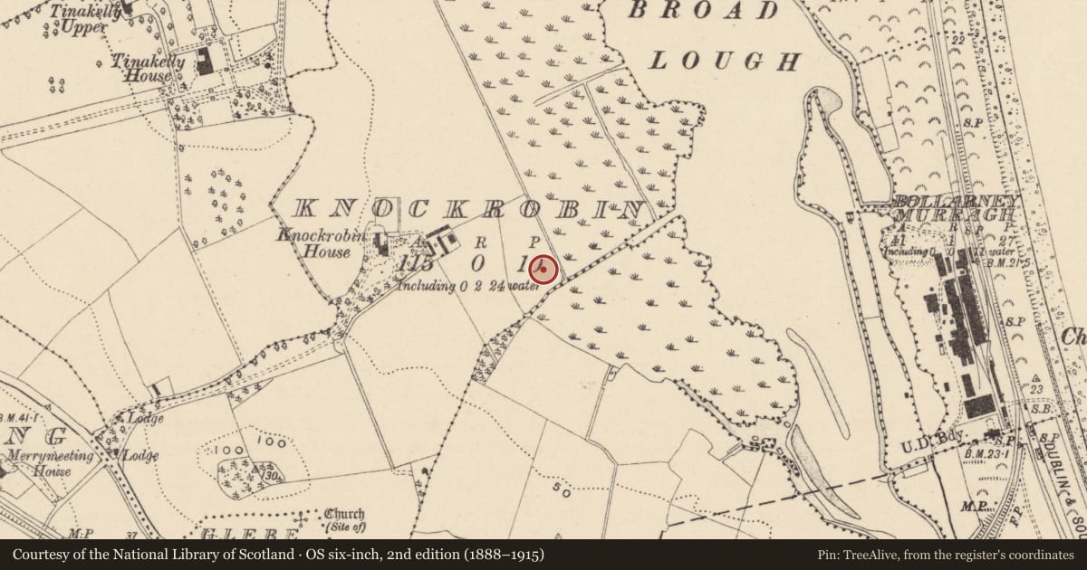 Ordnance Survey six-inch map, 2nd edition (1888–1915) covering the location of Enclosure, Knockrobin, County Wicklow, with a pin at the register's coordinates