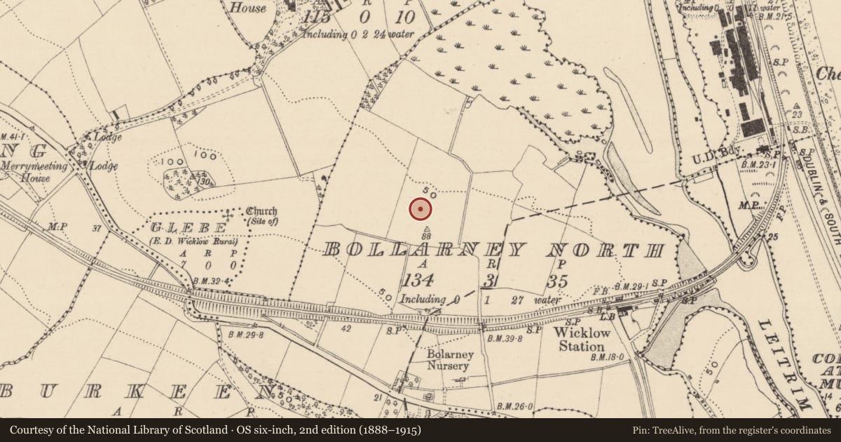 Ordnance Survey six-inch map, 2nd edition (1888–1915) covering the location of Excavation - miscellaneous, Bollarney North, County Wicklow, with a pin at the register's coordinates