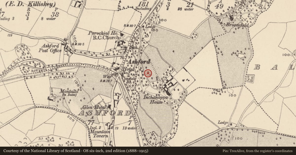Ordnance Survey six-inch map, 2nd edition (1888–1915) covering the location of Excavation - miscellaneous, Inchanappa South, County Wicklow, with a pin at the register's coordinates