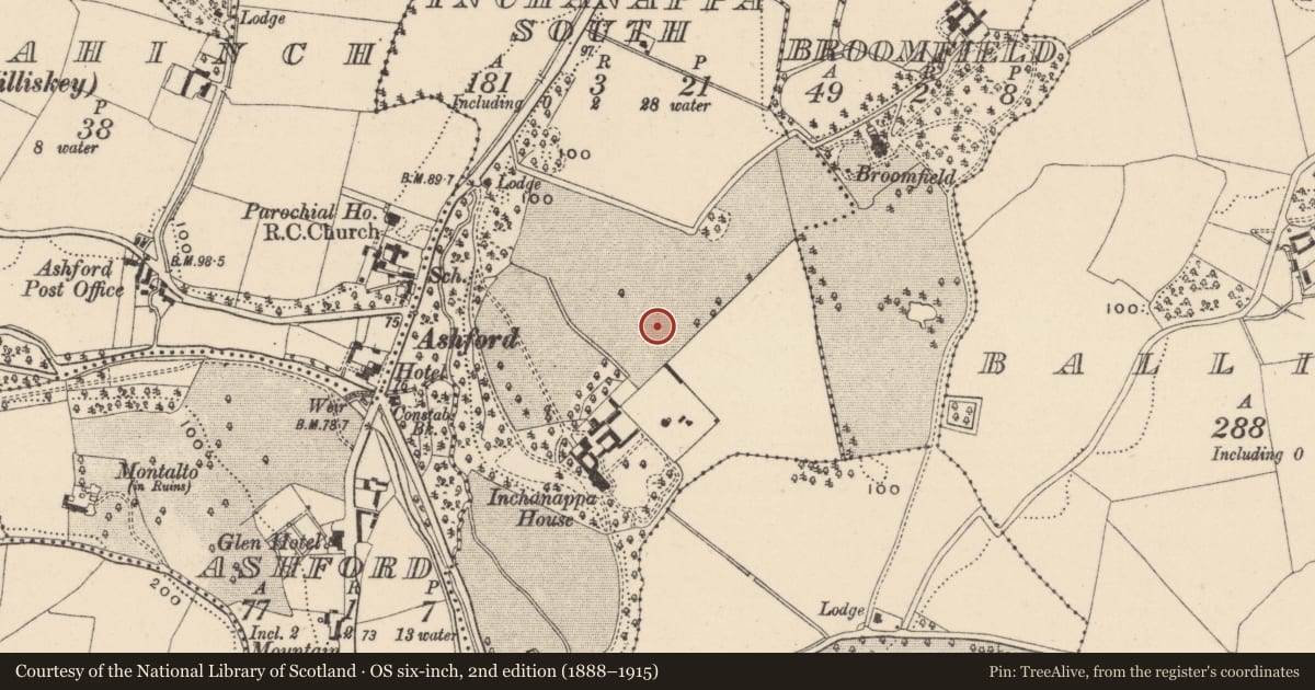 Ordnance Survey six-inch map, 2nd edition (1888–1915) covering the location of Excavation - miscellaneous, Inchanappa South, County Wicklow, with a pin at the register's coordinates