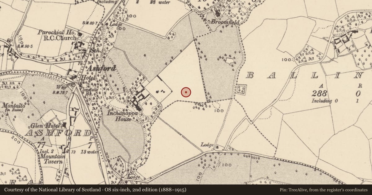 Ordnance Survey six-inch map, 2nd edition (1888–1915) covering the location of Fulacht fia, Inchanappa South, County Wicklow, with a pin at the register's coordinates