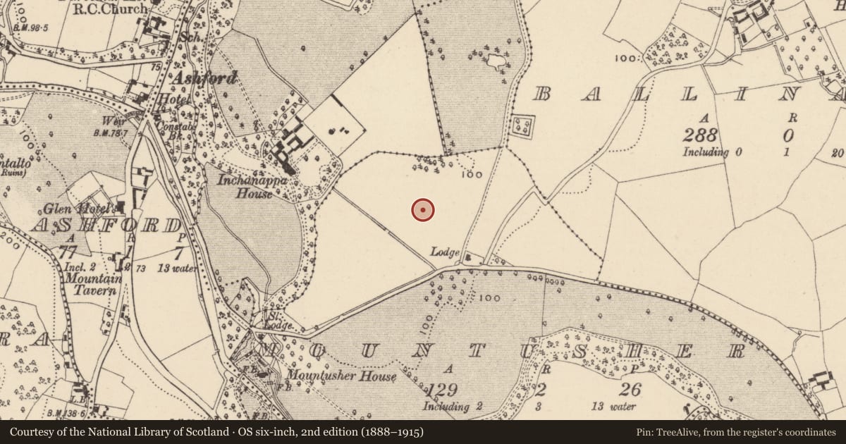 Ordnance Survey six-inch map, 2nd edition (1888–1915) covering the location of Excavation - miscellaneous, Inchanappa South, County Wicklow, with a pin at the register's coordinates