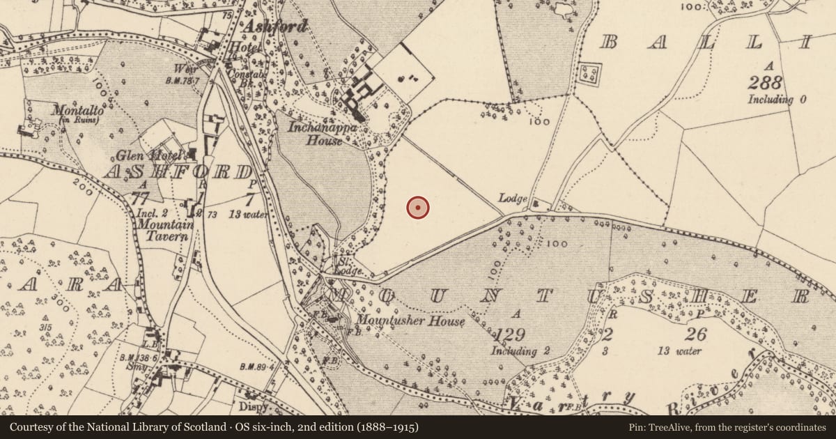 Ordnance Survey six-inch map, 2nd edition (1888–1915) covering the location of Excavation - miscellaneous, Inchanappa South, County Wicklow, with a pin at the register's coordinates
