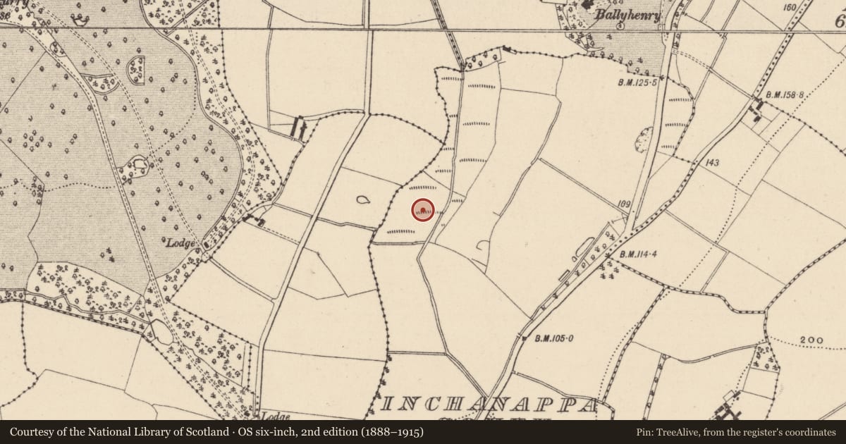 Ordnance Survey six-inch map, 2nd edition (1888–1915) covering the location of Fulacht fia, Inchanappa South, County Wicklow, with a pin at the register's coordinates