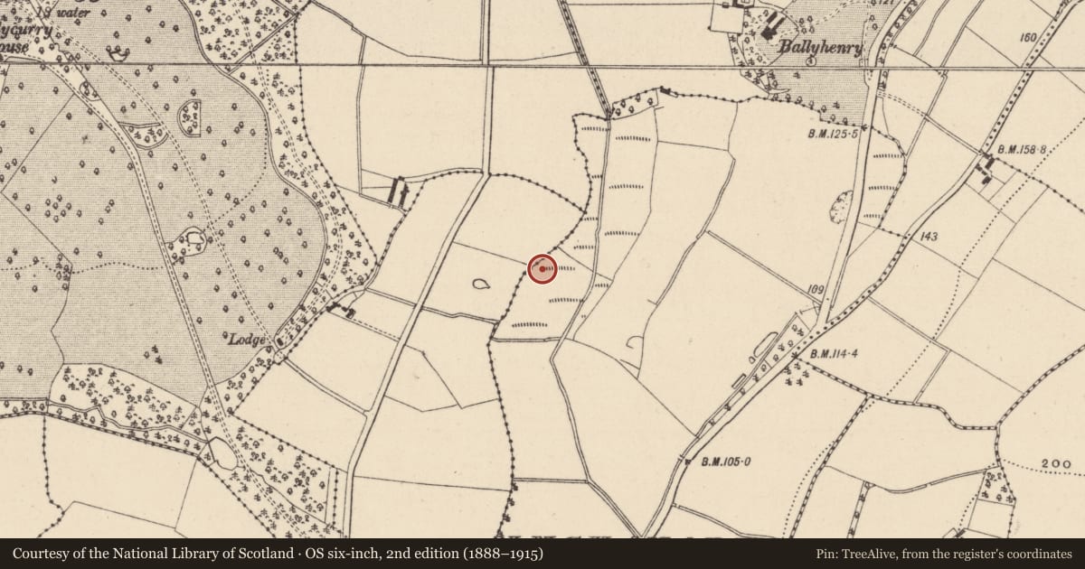Ordnance Survey six-inch map, 2nd edition (1888–1915) covering the location of Fulacht fia, Inchanappa South, County Wicklow, with a pin at the register's coordinates