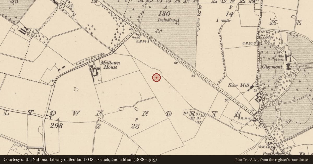 Ordnance Survey six-inch map, 2nd edition (1888–1915) covering the location of Hut site, Milltown North, County Wicklow, with a pin at the register's coordinates