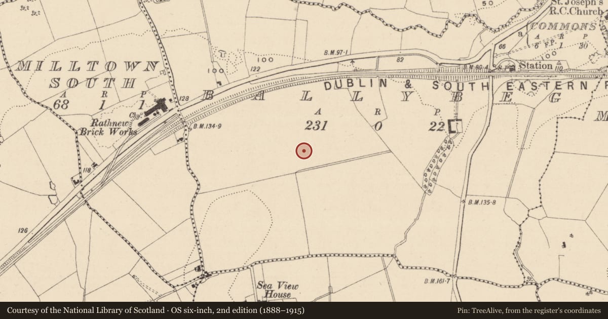 Ordnance Survey six-inch map, 2nd edition (1888–1915) covering the location of Hearth, Ballybeg, County Wicklow, with a pin at the register's coordinates