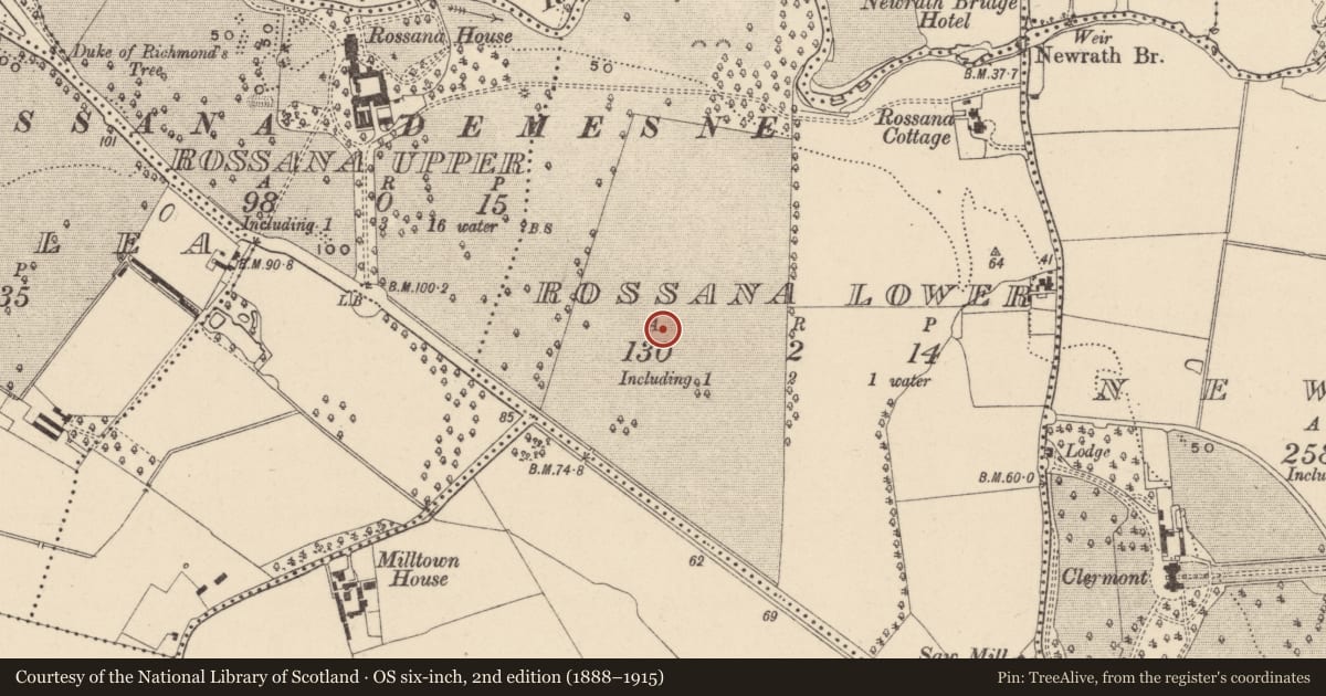 Ordnance Survey six-inch map, 2nd edition (1888–1915) covering the location of Enclosure, Rossana Lower, County Wicklow, with a pin at the register's coordinates