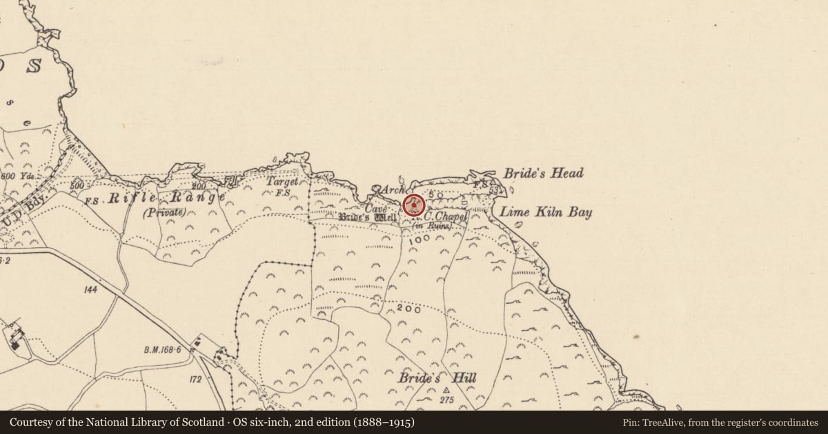 Ordnance Survey six-inch map, 2nd edition (1888–1915) covering the location of Promontory fort - coastal, Dunbur Head, County Wicklow, with a pin at the register's coordinates