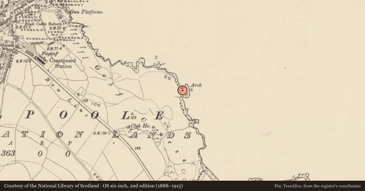 Ordnance Survey six-inch map, 2nd edition (1888–1915) covering the location of Promontory fort - coastal, Corporation Lands, County Wicklow, with a pin at the register's coordinates