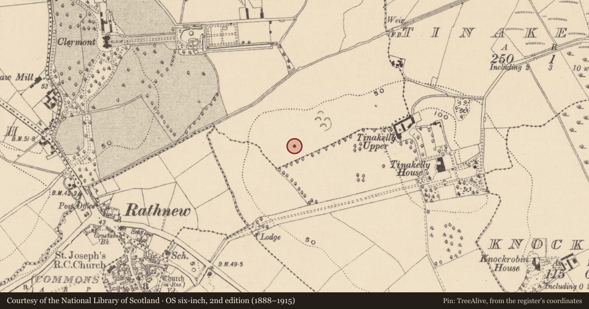 Ordnance Survey six-inch map, 2nd edition (1888–1915) covering the location of Enclosure, Tinakelly, County Wicklow, with a pin at the register's coordinates