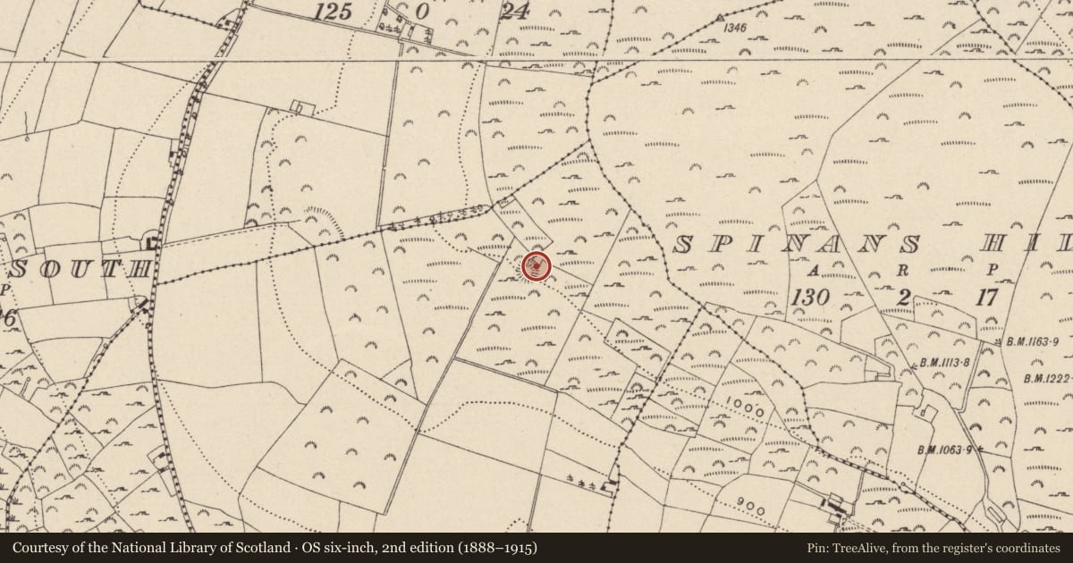 Ordnance Survey six-inch map, 2nd edition (1888–1915) covering the location of Ringfort - rath, Spinans Middle, County Wicklow, with a pin at the register's coordinates