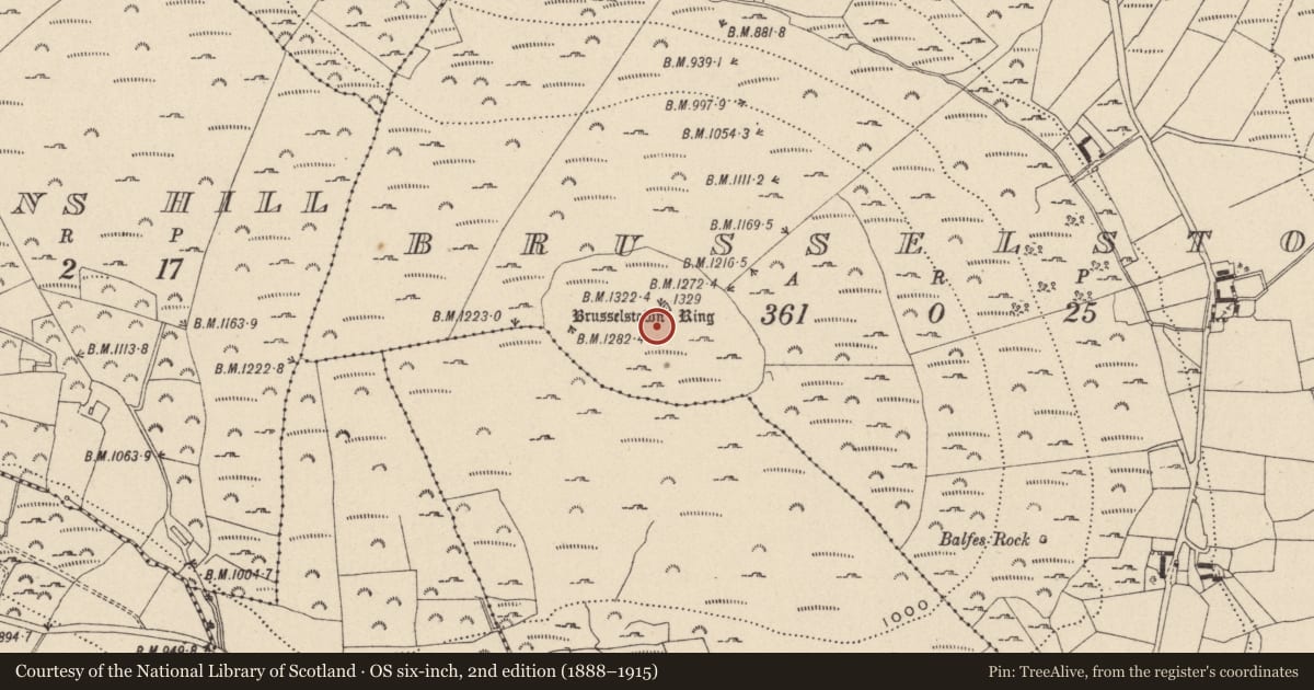 Ordnance Survey six-inch map, 2nd edition (1888–1915) covering the location of Hillfort, Brusselstown, Castlequarter, County Wicklow, with a pin at the register's coordinates