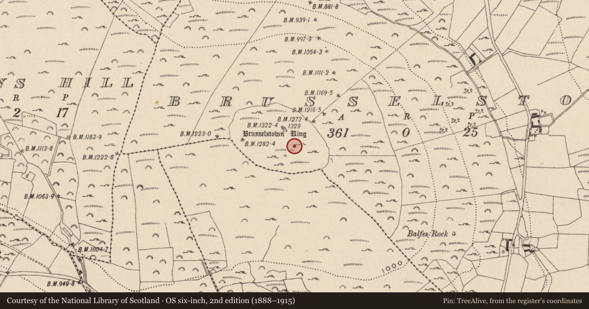 Ordnance Survey six-inch map, 2nd edition (1888–1915) covering the location of Hut site, Brusselstown, County Wicklow, with a pin at the register's coordinates