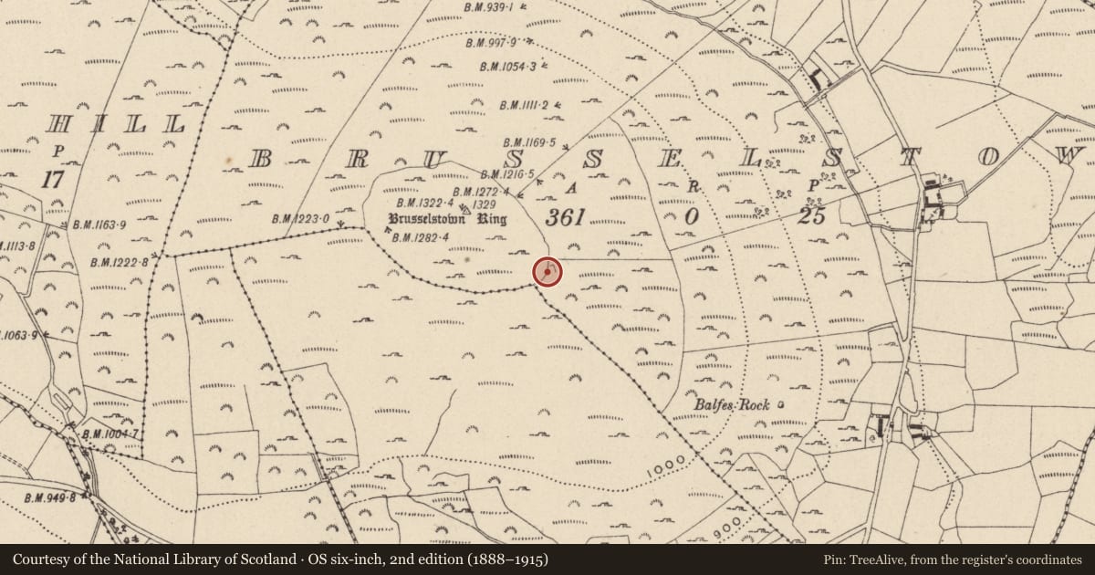 Ordnance Survey six-inch map, 2nd edition (1888–1915) covering the location of Hut site, Brusselstown, County Wicklow, with a pin at the register's coordinates