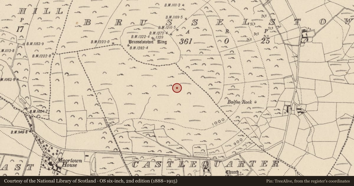 Ordnance Survey six-inch map, 2nd edition (1888–1915) covering the location of Hut site, Castlequarter, County Wicklow, with a pin at the register's coordinates