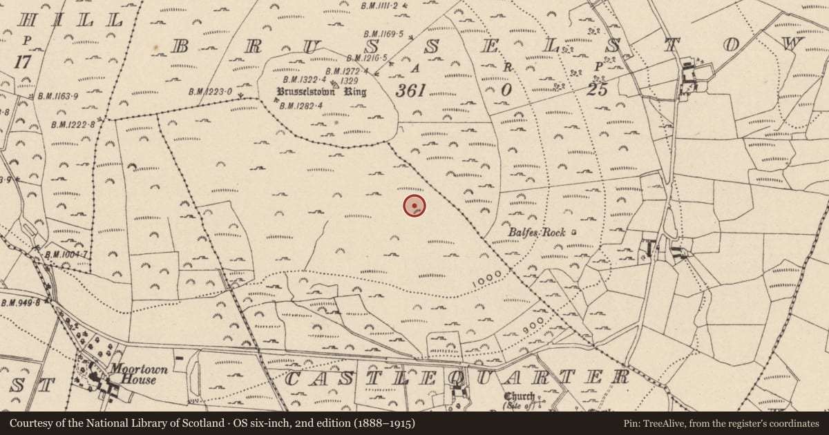 Ordnance Survey six-inch map, 2nd edition (1888–1915) covering the location of Hut site, Castlequarter, County Wicklow, with a pin at the register's coordinates