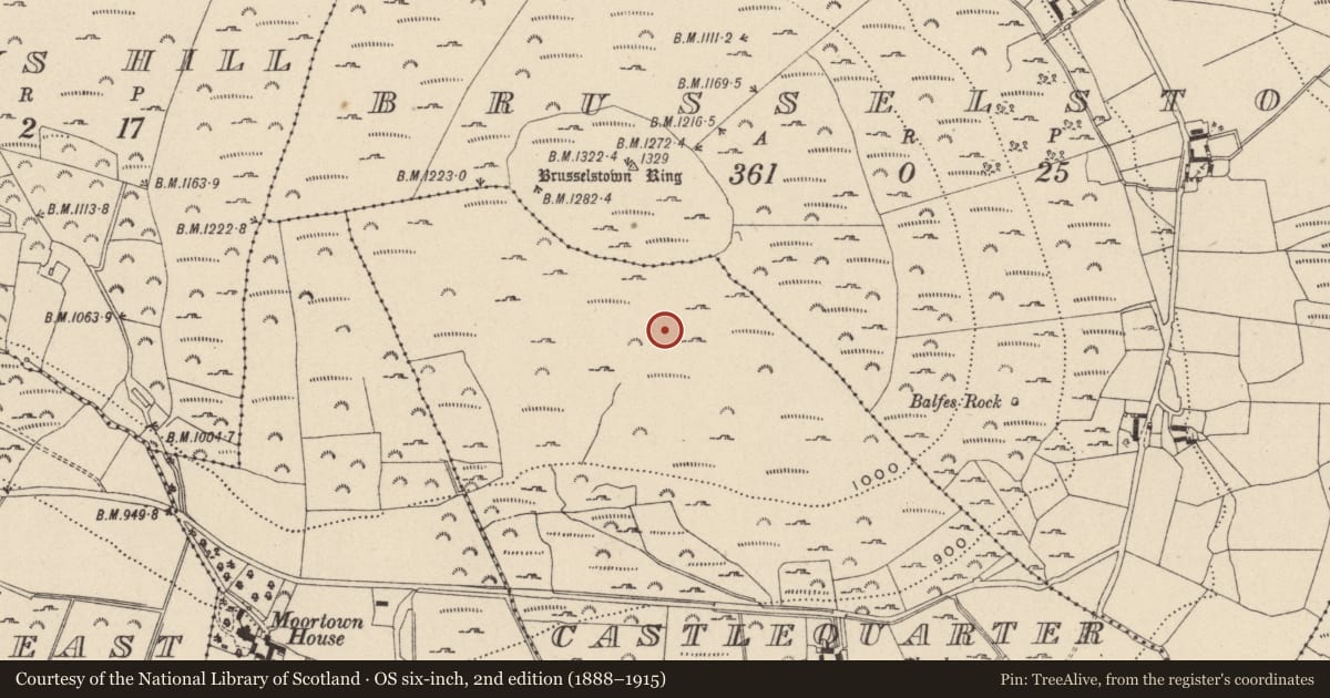 Ordnance Survey six-inch map, 2nd edition (1888–1915) covering the location of Hut site, Castlequarter, County Wicklow, with a pin at the register's coordinates