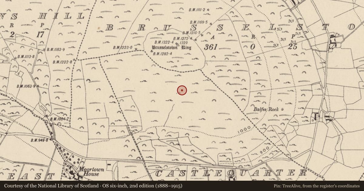 Ordnance Survey six-inch map, 2nd edition (1888–1915) covering the location of Enclosure, Castlequarter, County Wicklow, with a pin at the register's coordinates