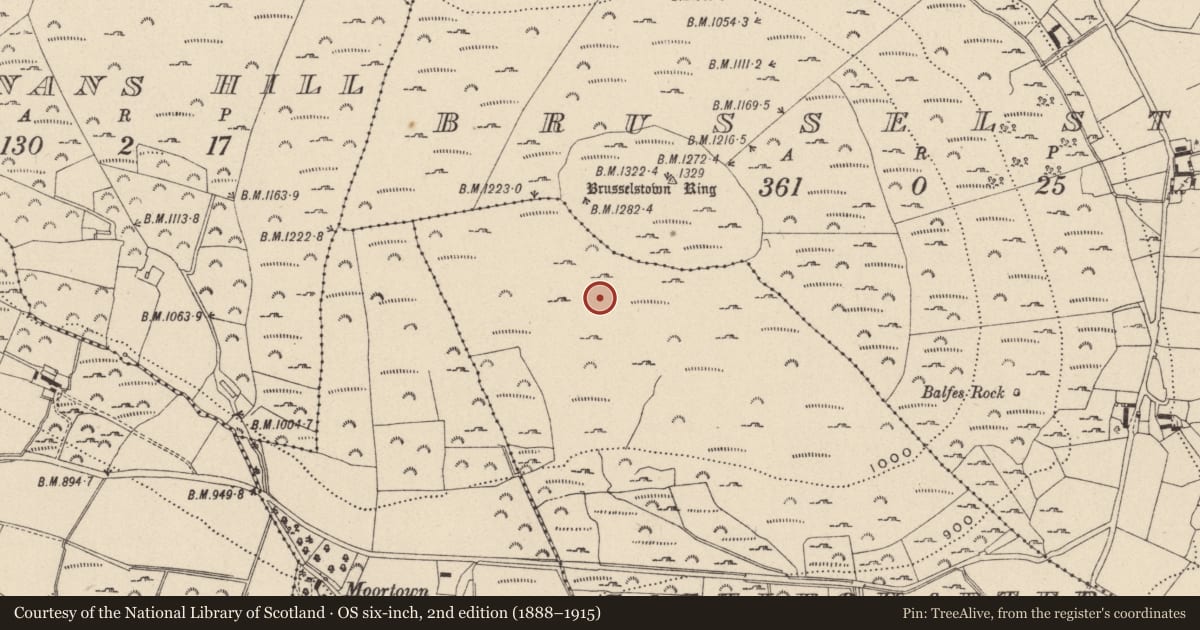Ordnance Survey six-inch map, 2nd edition (1888–1915) covering the location of Hut site, Castlequarter, County Wicklow, with a pin at the register's coordinates