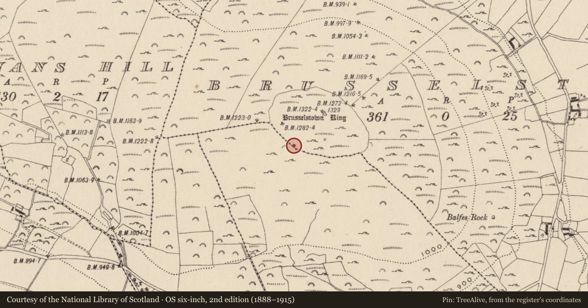 Ordnance Survey six-inch map, 2nd edition (1888–1915) covering the location of Hut site, Castlequarter, County Wicklow, with a pin at the register's coordinates