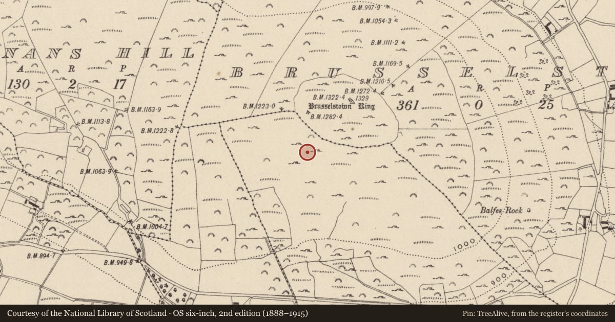 Ordnance Survey six-inch map, 2nd edition (1888–1915) covering the location of Hut site, Castlequarter, County Wicklow, with a pin at the register's coordinates