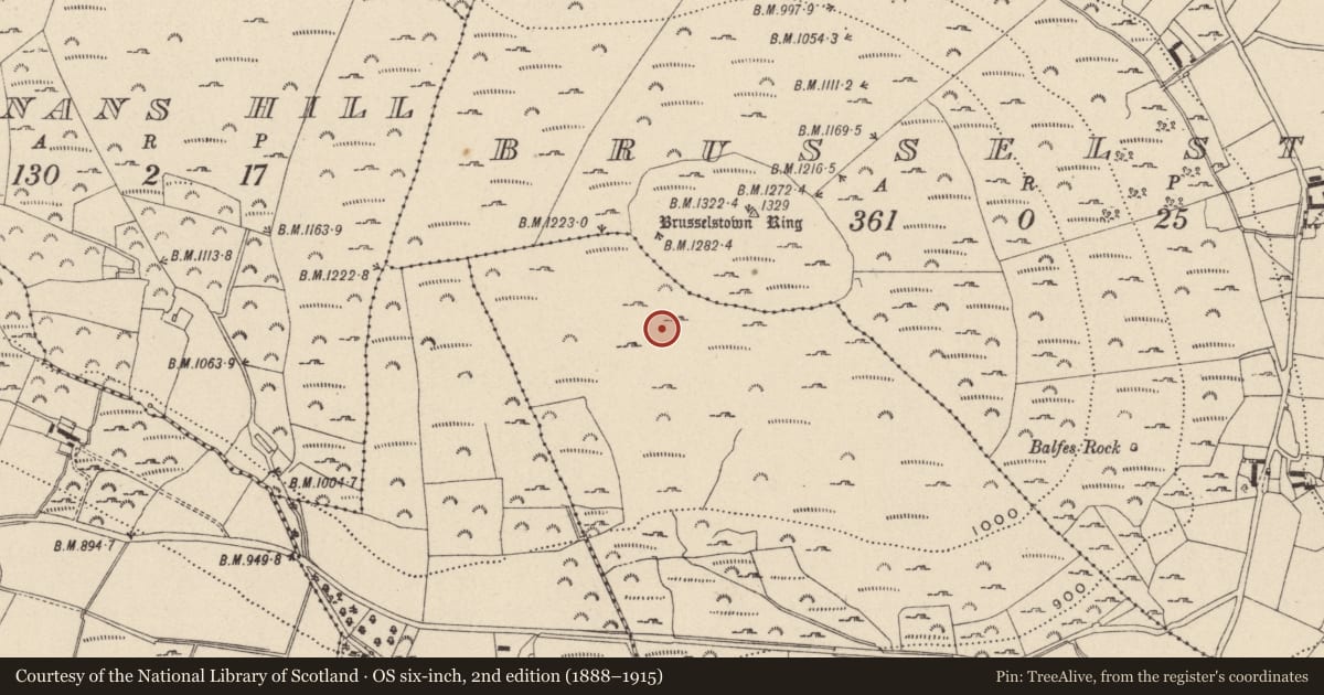 Ordnance Survey six-inch map, 2nd edition (1888–1915) covering the location of Hut site, Castlequarter, County Wicklow, with a pin at the register's coordinates