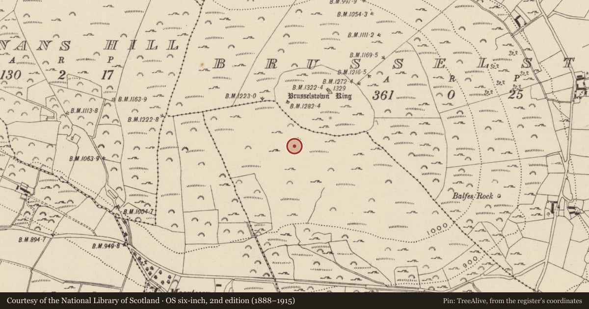 Ordnance Survey six-inch map, 2nd edition (1888–1915) covering the location of Hut site, Castlequarter, County Wicklow, with a pin at the register's coordinates