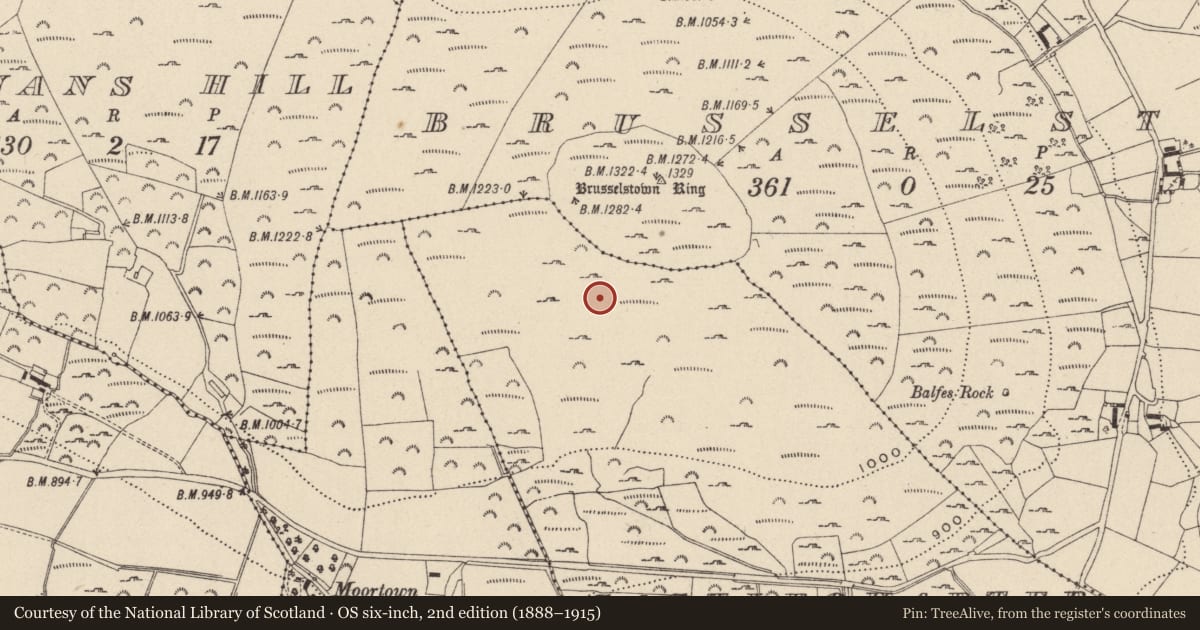 Ordnance Survey six-inch map, 2nd edition (1888–1915) covering the location of Hut site, Castlequarter, County Wicklow, with a pin at the register's coordinates