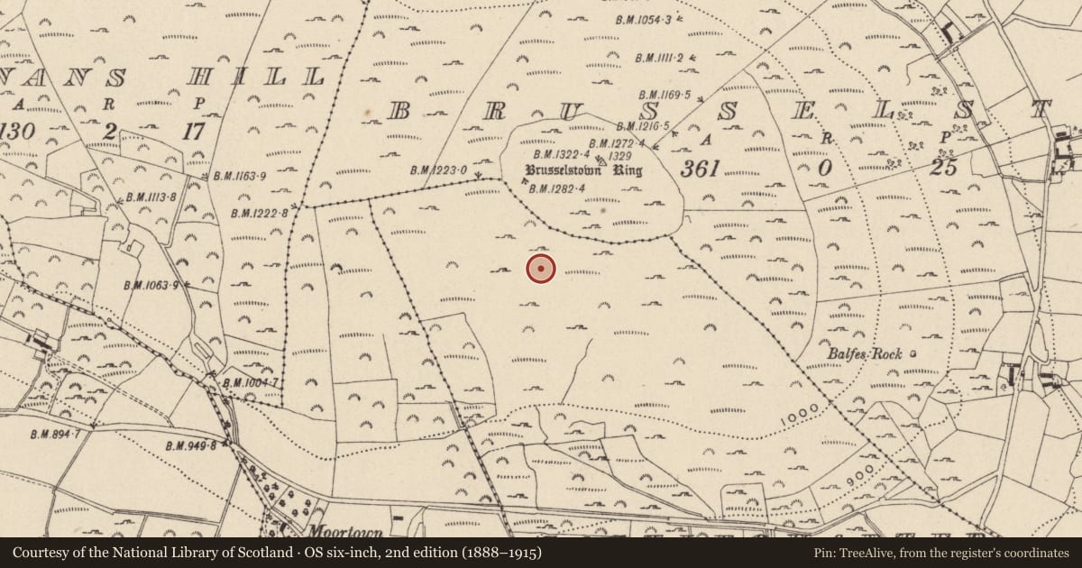 Ordnance Survey six-inch map, 2nd edition (1888–1915) covering the location of Hut site, Castlequarter, County Wicklow, with a pin at the register's coordinates