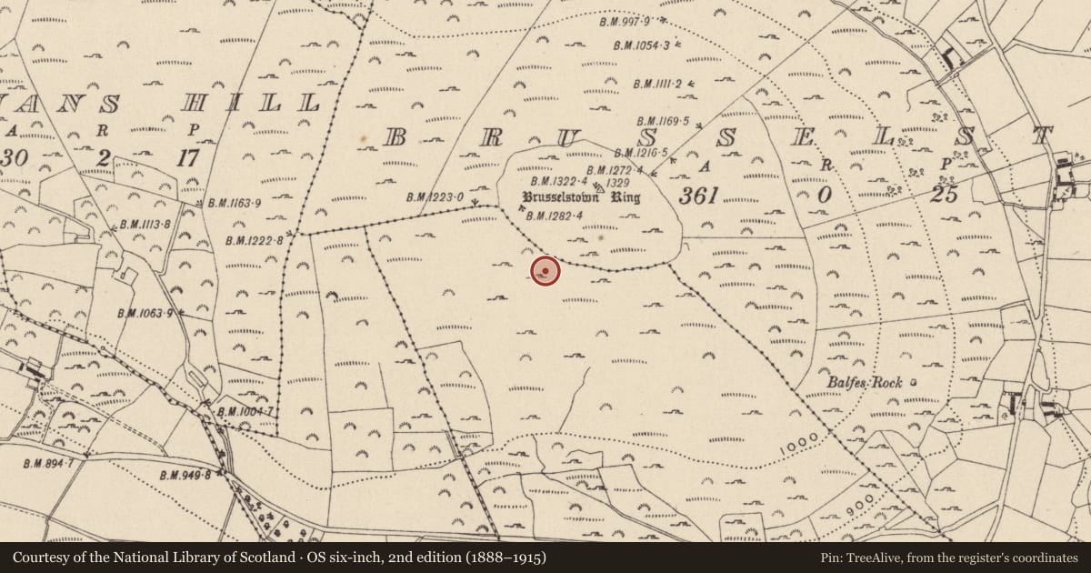 Ordnance Survey six-inch map, 2nd edition (1888–1915) covering the location of Hut site, Castlequarter, County Wicklow, with a pin at the register's coordinates