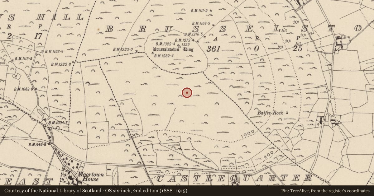 Ordnance Survey six-inch map, 2nd edition (1888–1915) covering the location of Hut site, Castlequarter, County Wicklow, with a pin at the register's coordinates