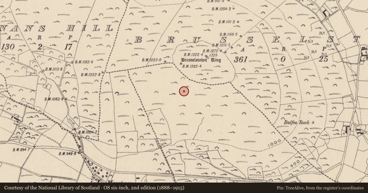Ordnance Survey six-inch map, 2nd edition (1888–1915) covering the location of Hut site, Castlequarter, County Wicklow, with a pin at the register's coordinates